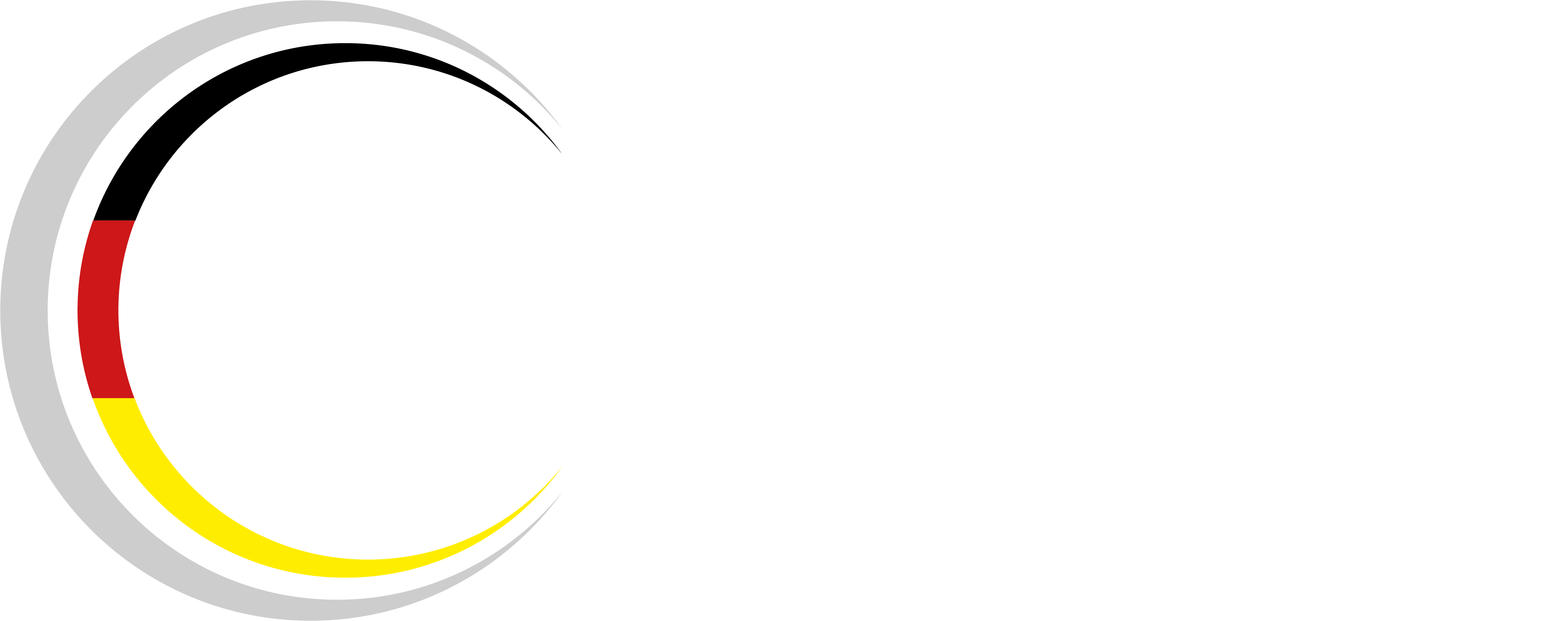 IfDQ_Logo_länglich_dunklerBG